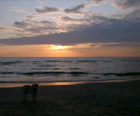 Hotel Badhotel Zeecroft 2*